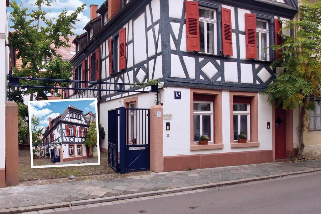 Rheintor-Apartment Speyer Værelse billede